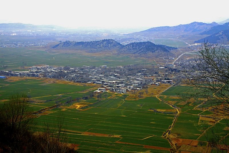 五龙夺凤的内容简介