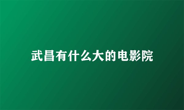 武昌有什么大的电影院