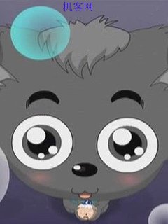 给几个小灰灰的头像