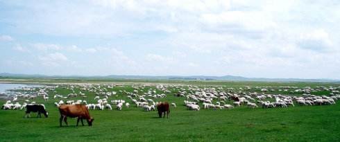 风吹草低见牛羊是什么意思？