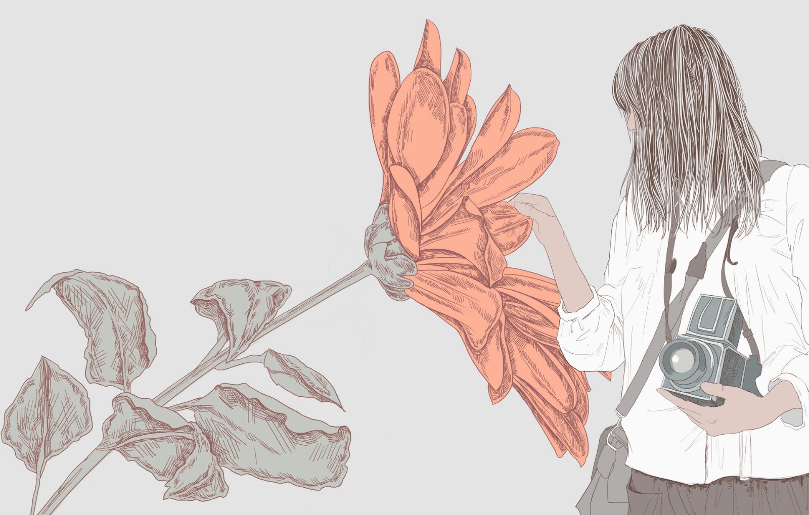 随和的意思是什么