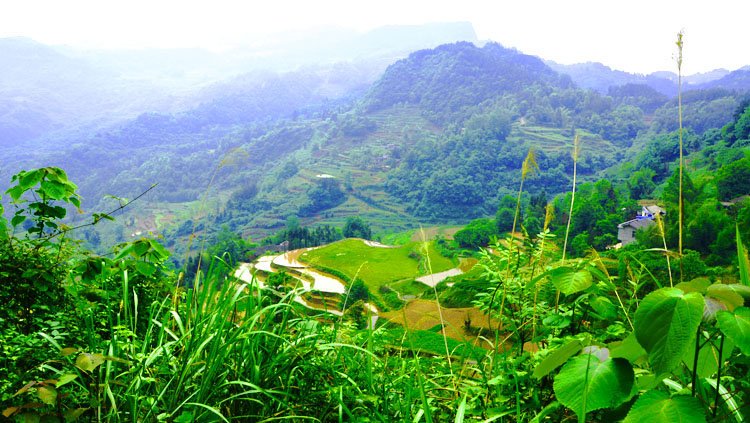 农村，山村和村庄有什么区别吗？