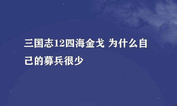 三国志12四海金戈 为什么自己的募兵很少