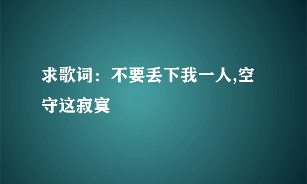 求歌词：不要丢下我一人,空守这寂寞