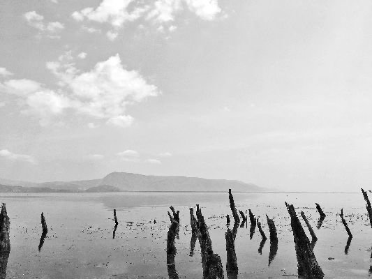 荒凉和荒芜的区别