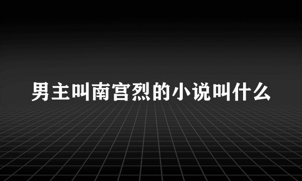 男主叫南宫烈的小说叫什么