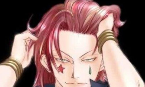 《全职猎人》中的西索资料..？