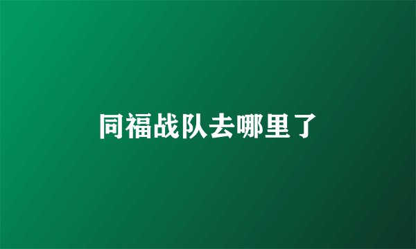 同福战队去哪里了