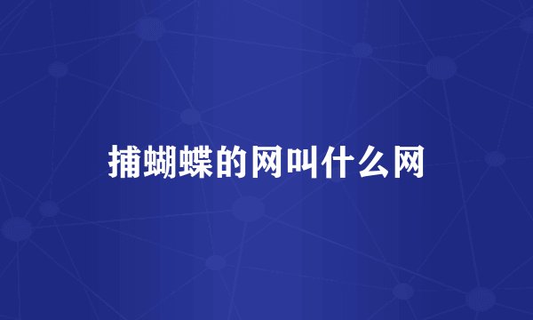 捕蝴蝶的网叫什么网