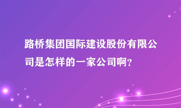 路桥集团国际建设股份有限公司是怎样的一家公司啊?