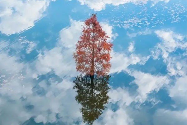 平心静气的意思