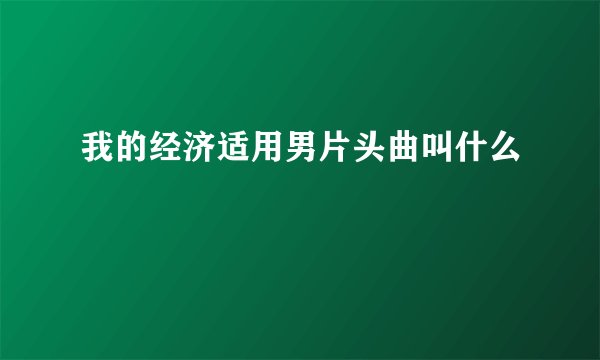 我的经济适用男片头曲叫什么