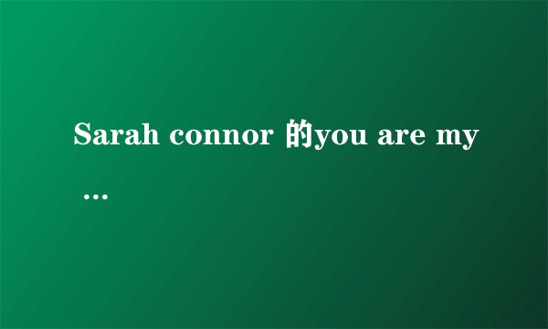 Sarah connor 的you are my desire的翻译