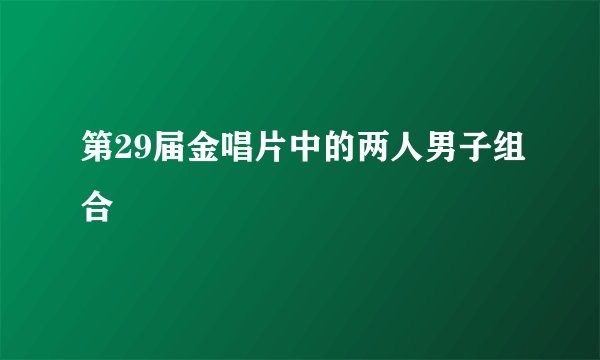 第29届金唱片中的两人男子组合