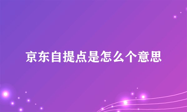 京东自提点是怎么个意思