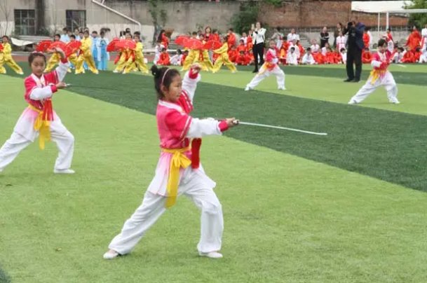 武术和散打哪个对孩子好