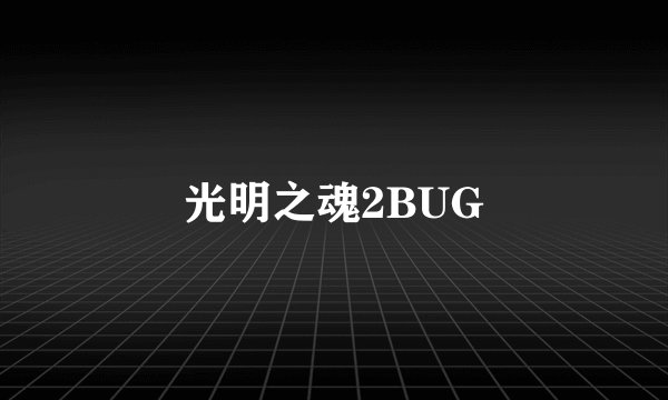 光明之魂2BUG