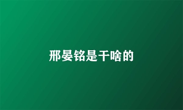 邢晏铭是干啥的