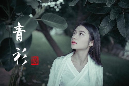 大主宰中，青衫剑圣是谁