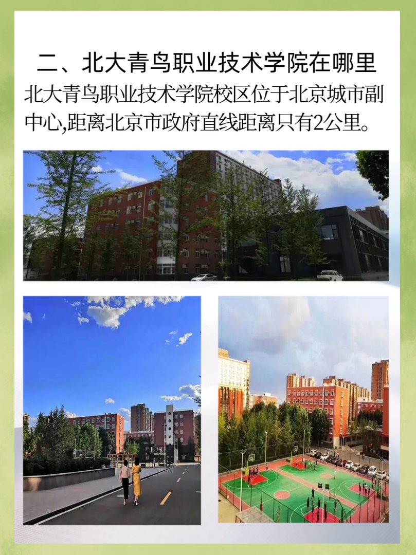 北大青鸟职业技术学院在哪里