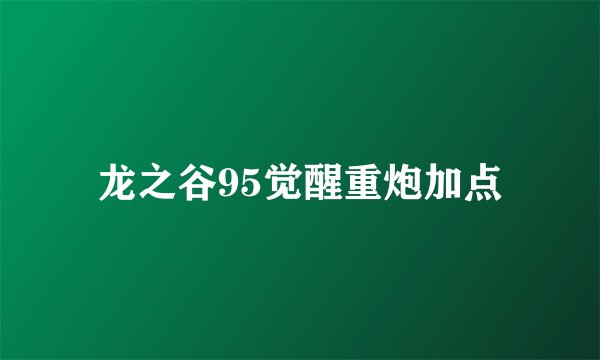 龙之谷95觉醒重炮加点