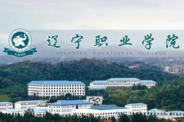 辽宁职业学院怎么样