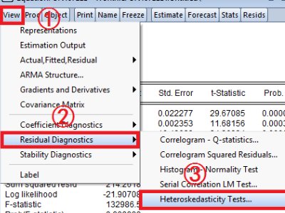 怎么进行怀特检验?