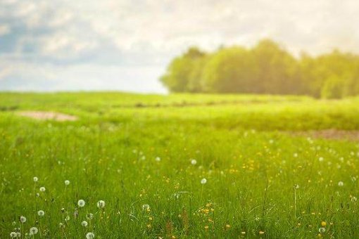 繁华过后终平淡什么意思？