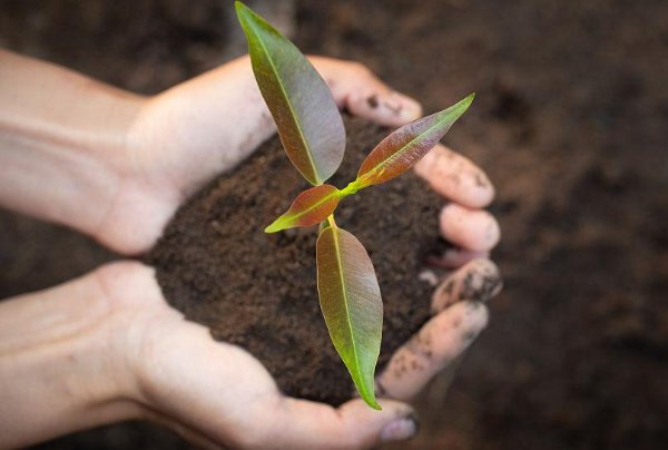 沃土是什么意思