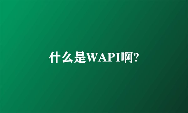 什么是WAPI啊?