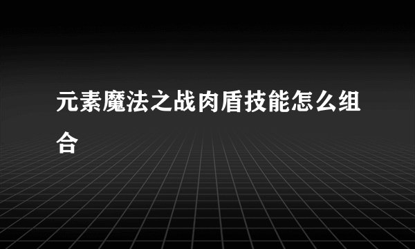 元素魔法之战肉盾技能怎么组合