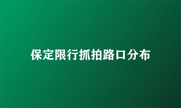 保定限行抓拍路口分布