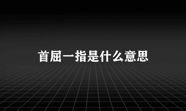 首屈一指是什么意思