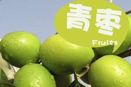 青枣主要产自哪里？