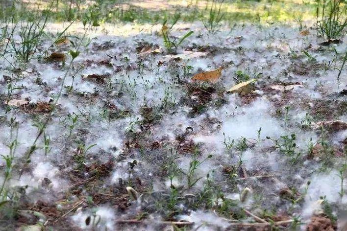 归根结底与归根到底的区别