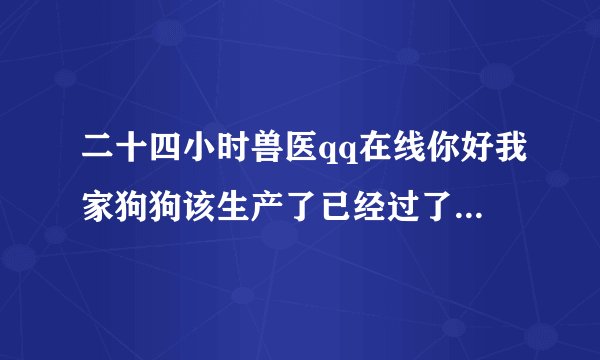 二十四小时兽医qq在线你好我家狗狗该生产了已经过了四天了现在一点反应都没有怎么办啊！