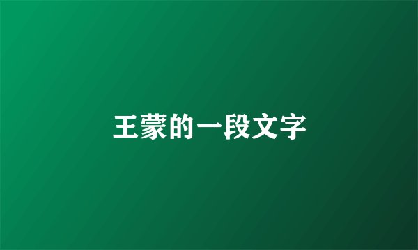 王蒙的一段文字