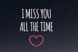 yule英文名是什么意思