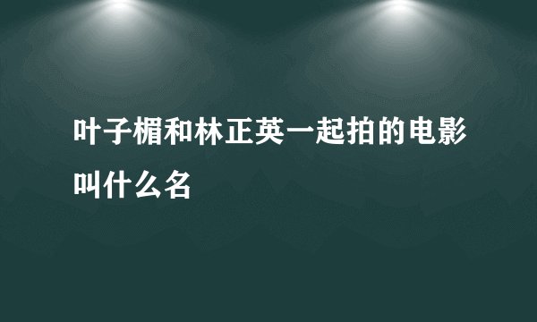 叶子楣和林正英一起拍的电影叫什么名