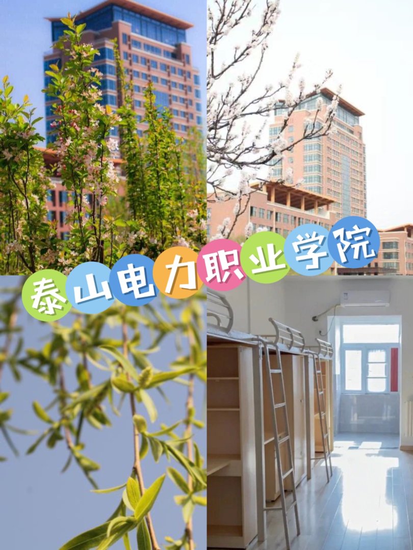 泰安电力职业学院