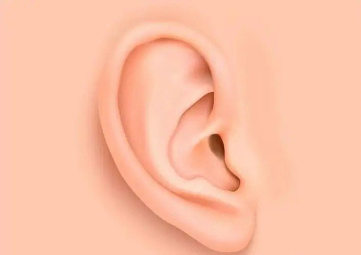 听用英语怎么说