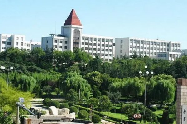 鲁东大学教务信息网学生登录