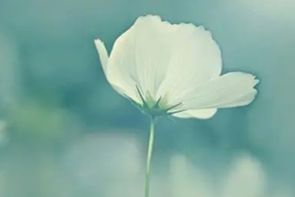 记叙文的题目有哪些?