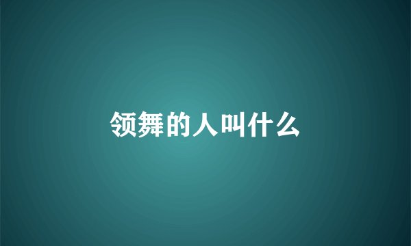 领舞的人叫什么