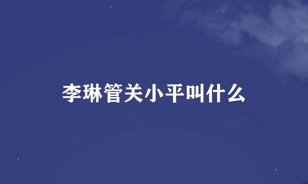 李琳管关小平叫什么