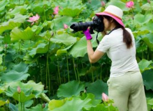 摄影和摄像有什么区别?是一回事吗?