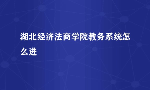 湖北经济法商学院教务系统怎么进