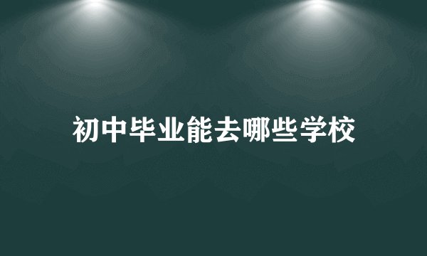 初中毕业能去哪些学校