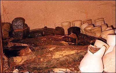 名医童养媳的内容简介