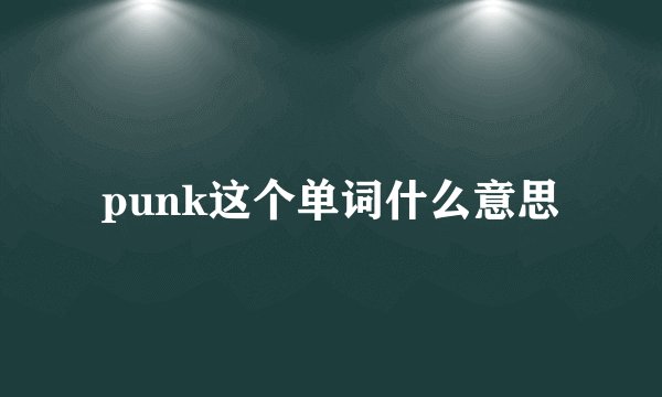 punk这个单词什么意思